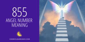 855 twin flame|Angel Number 855 Symbolism And Twin Flame Meaning